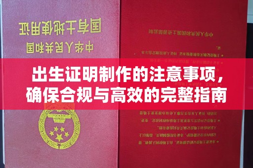 文成出生证明制作的注意事项，确保合规与高效的完整指南