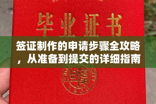 织金签证制作的申请步骤全攻略，从准备到提交的详细指南